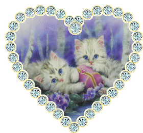Gif animé coeur chatons